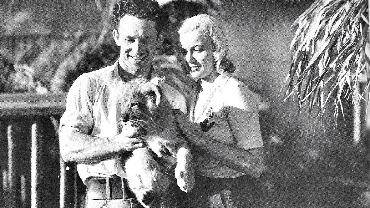 The Lost Jungle backdrop