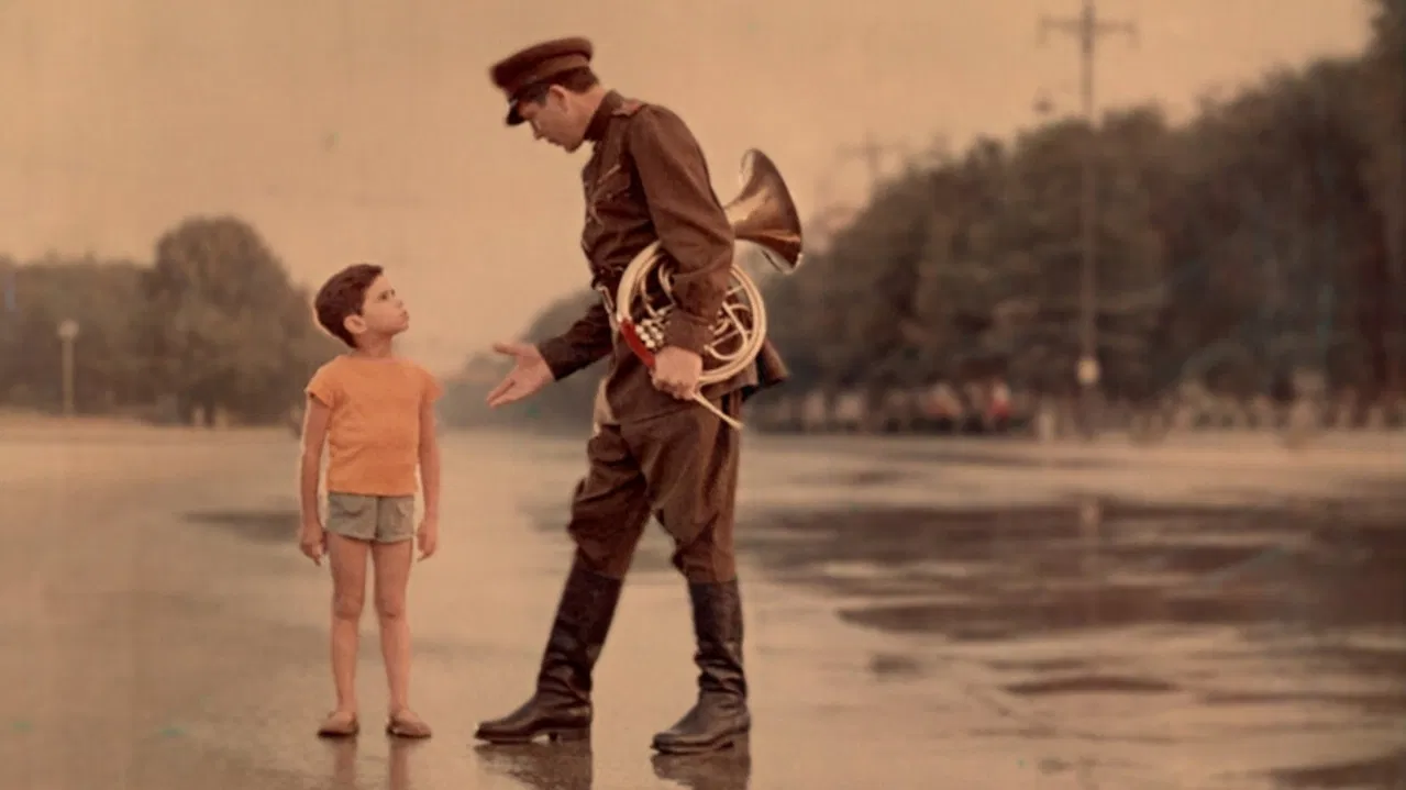 Following the Sun backdrop