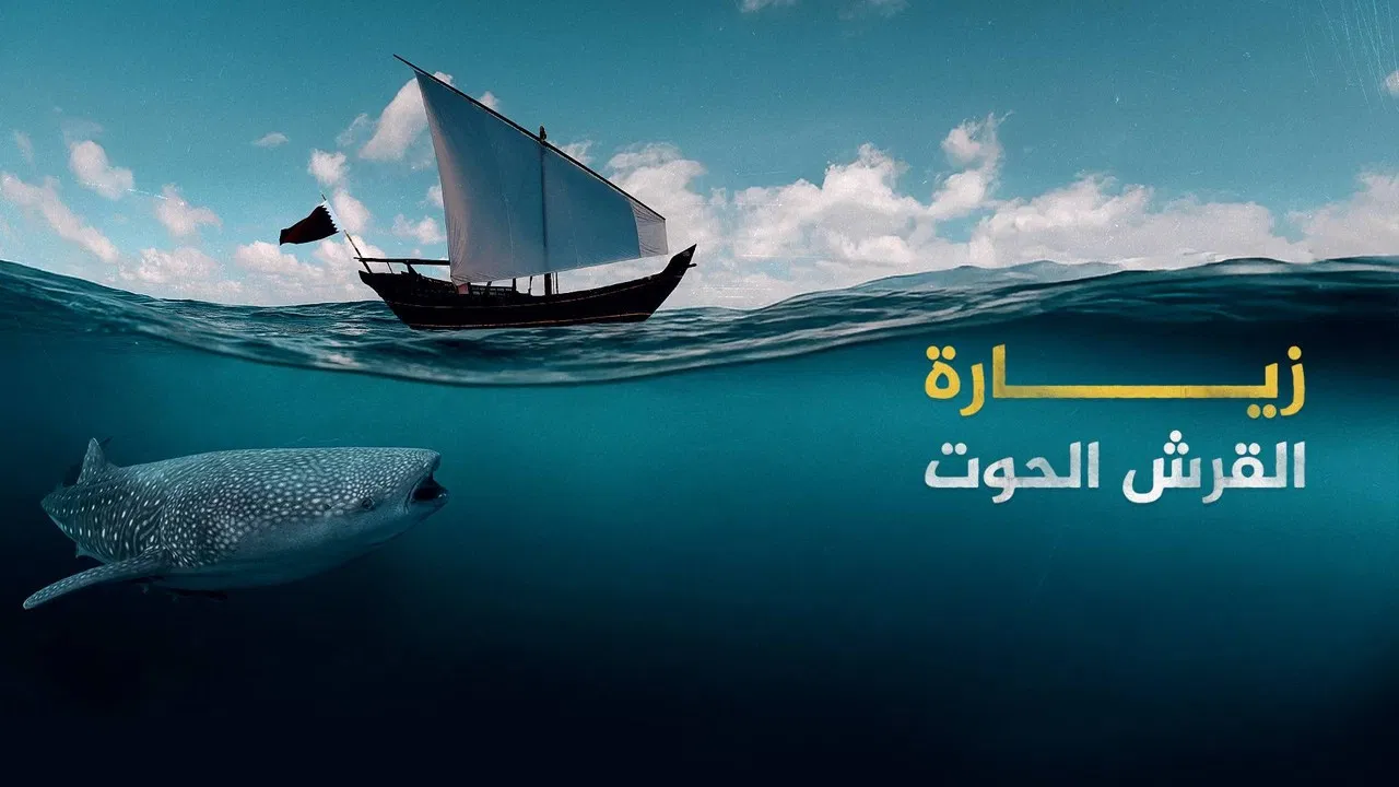 Journey of a Whale Shark backdrop