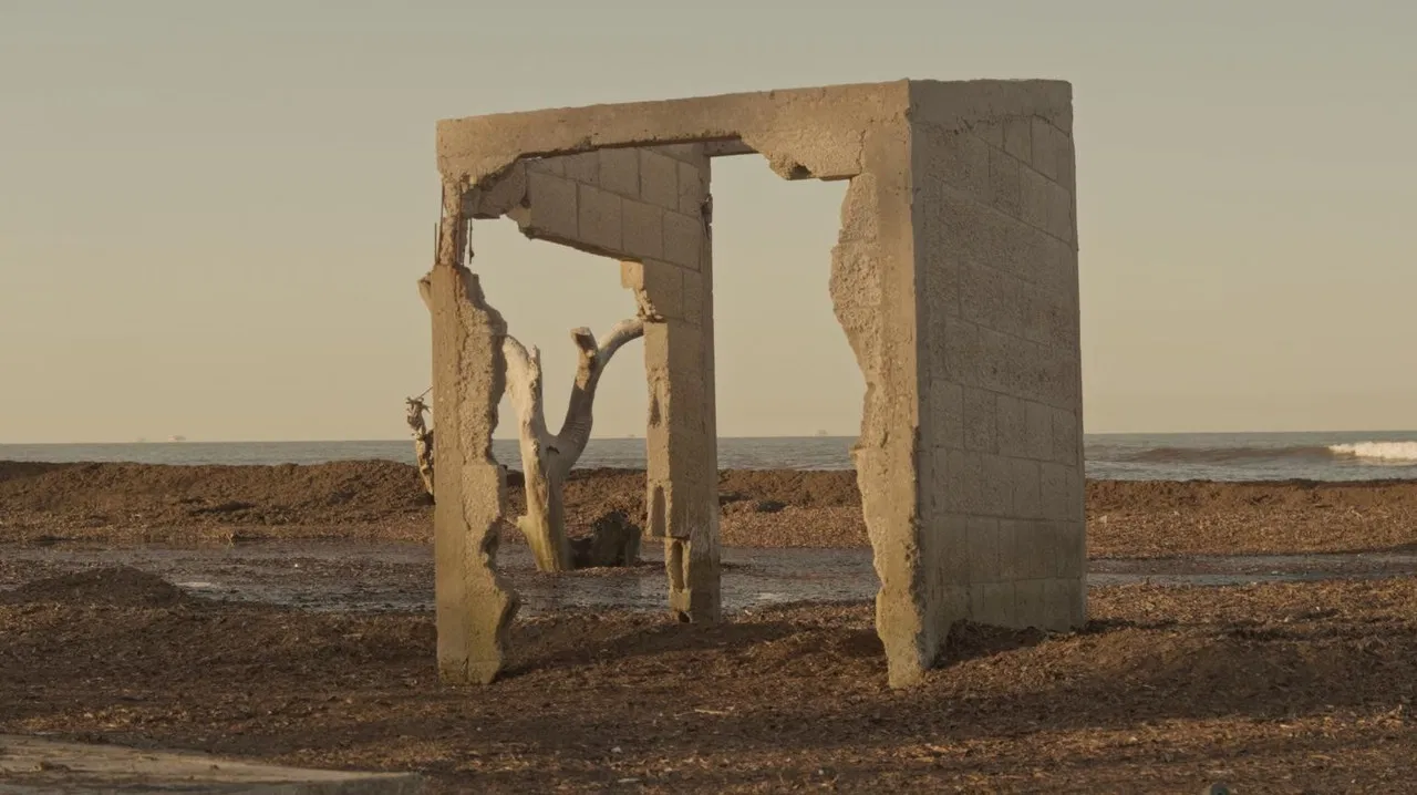 The Stride of Lichen backdrop
