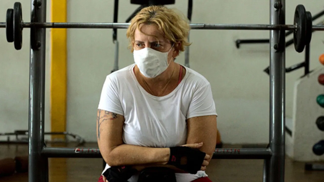 Pequena Flor de Ameixa: Raiz backdrop