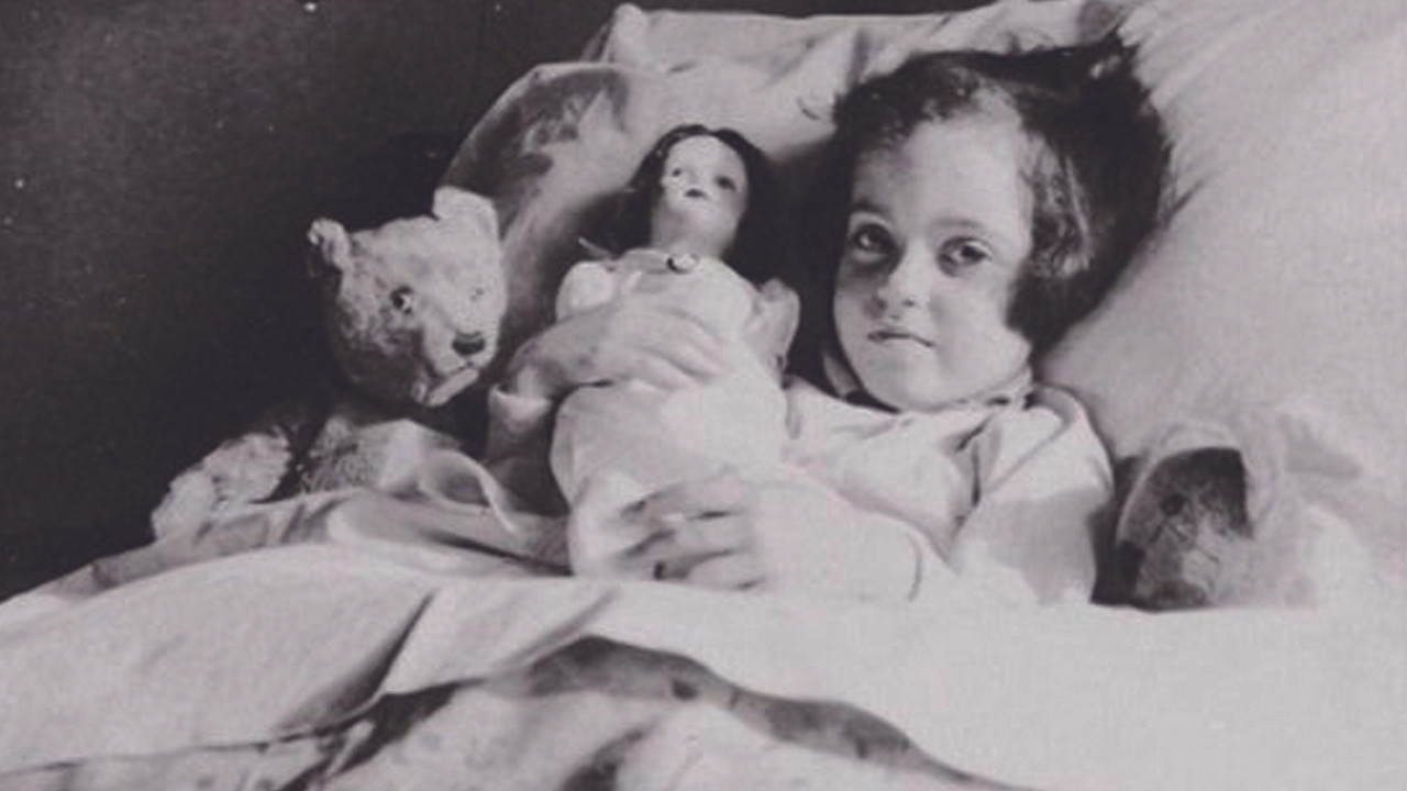 Ydessa, the Bears and etc. backdrop