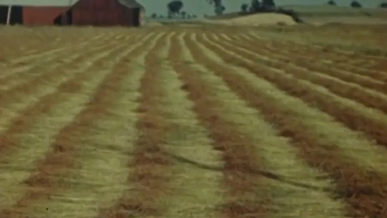 Flax from Canada - Part One: Growing Flax backdrop