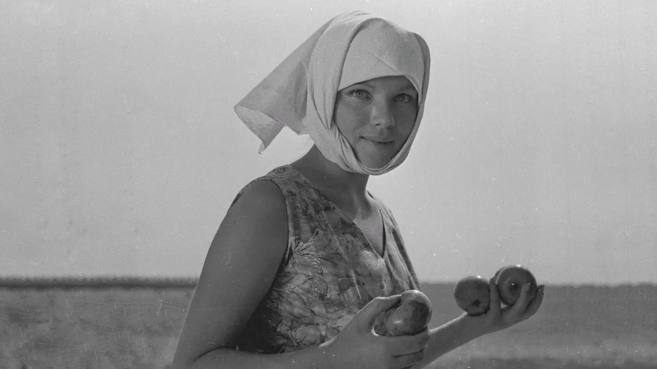 Autumn Weddings backdrop