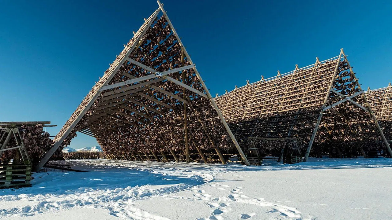 The Age of Nature backdrop