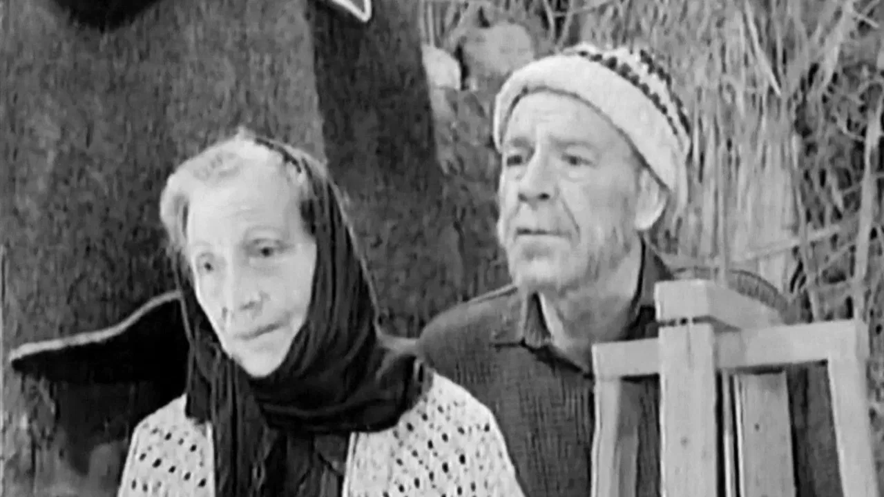 Confession of a Mother backdrop