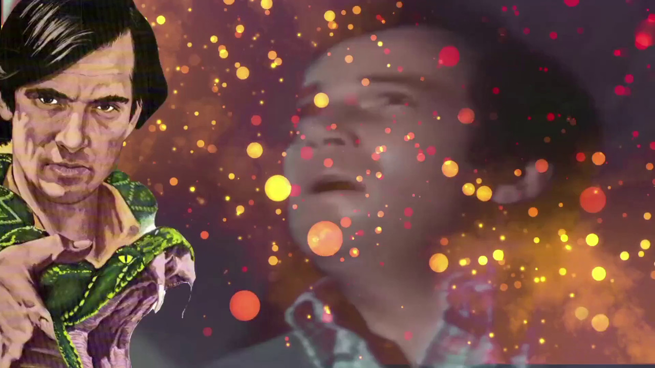 Blood, Guts and Sunshine: The History of Horror Made in Florida backdrop