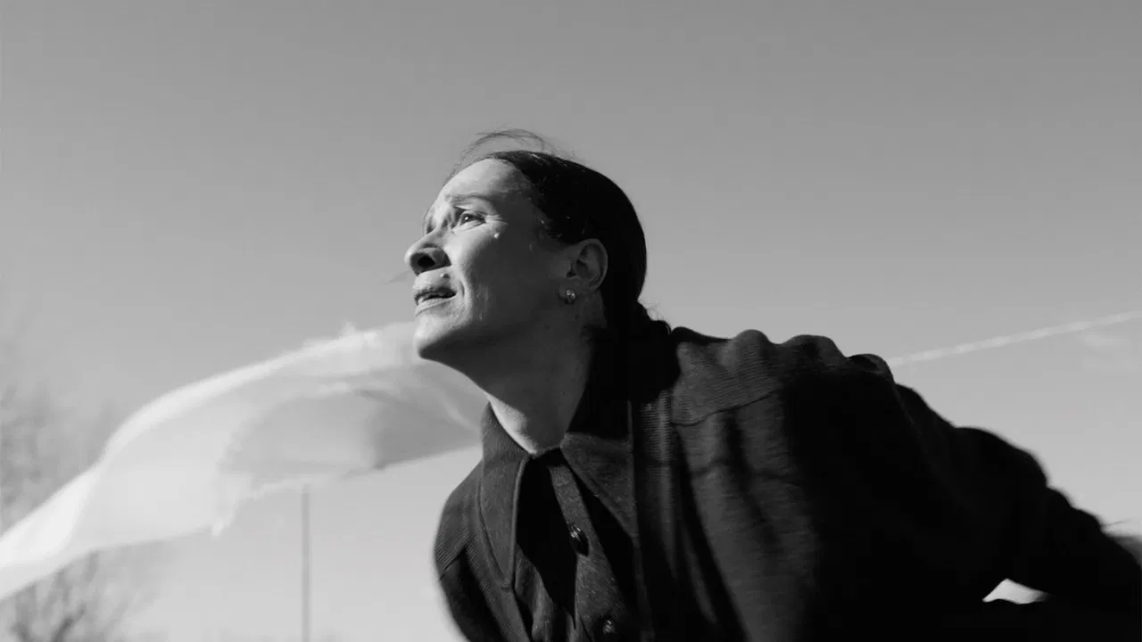 Chiquita Piconera backdrop