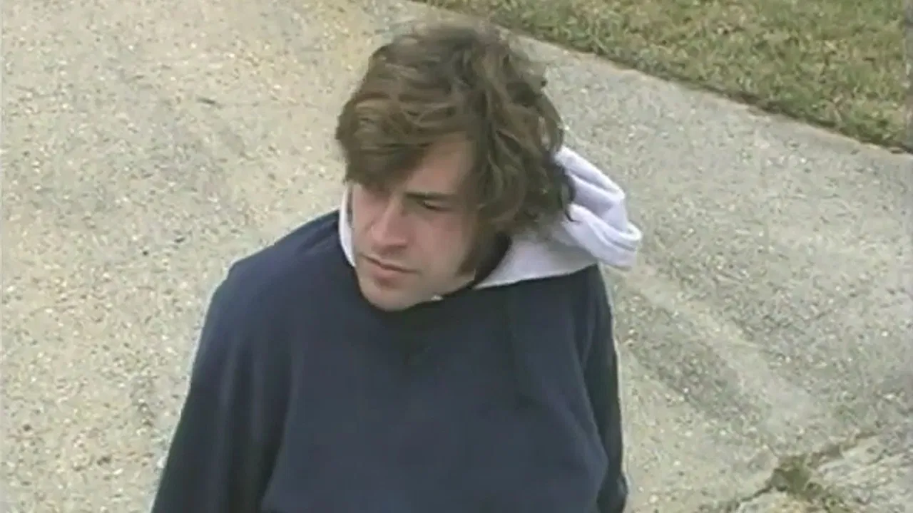 The New Brad backdrop