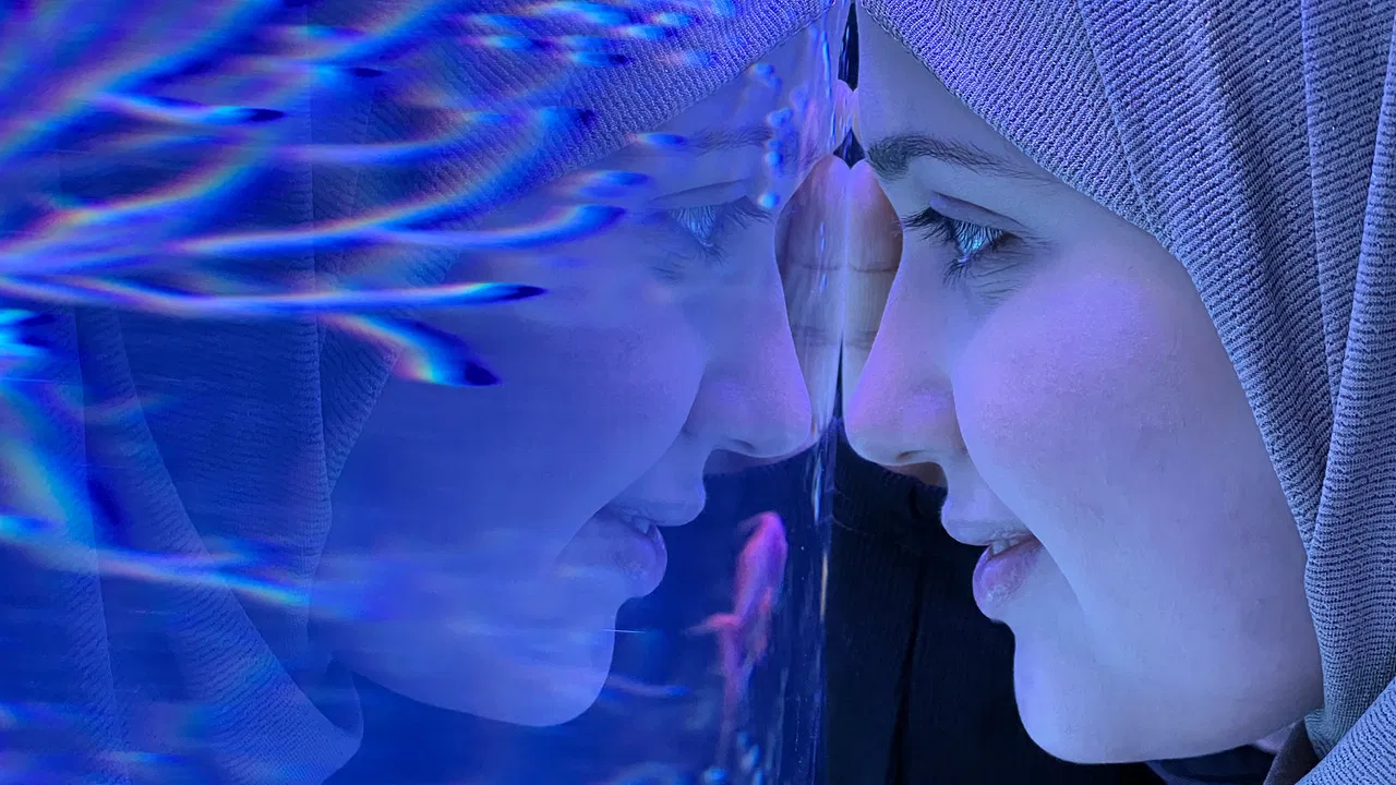 One in a Million backdrop