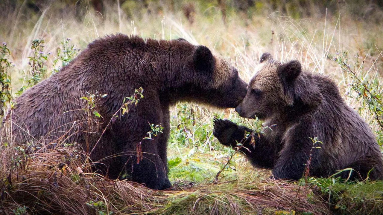 The Price of the Prize backdrop