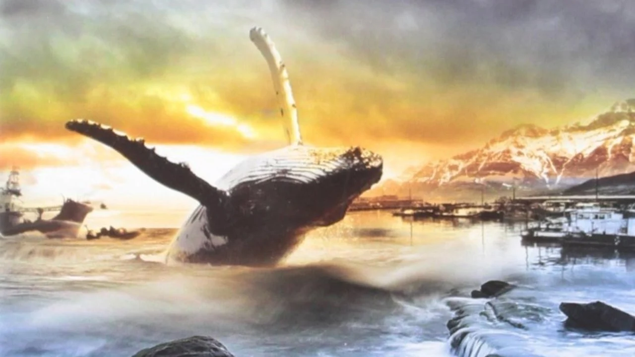 A Whale for the Killing backdrop