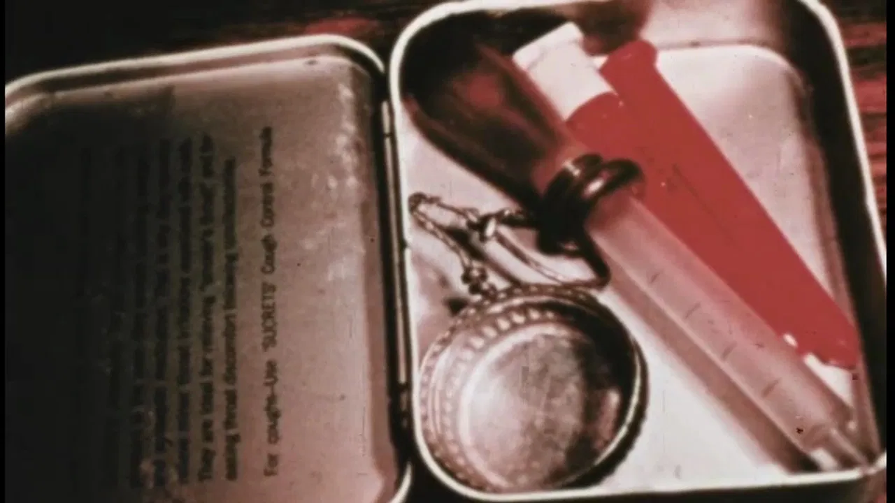 Slavery In The 70's backdrop