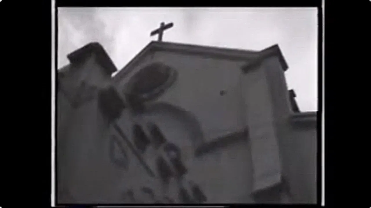 Flower Picking Diary backdrop