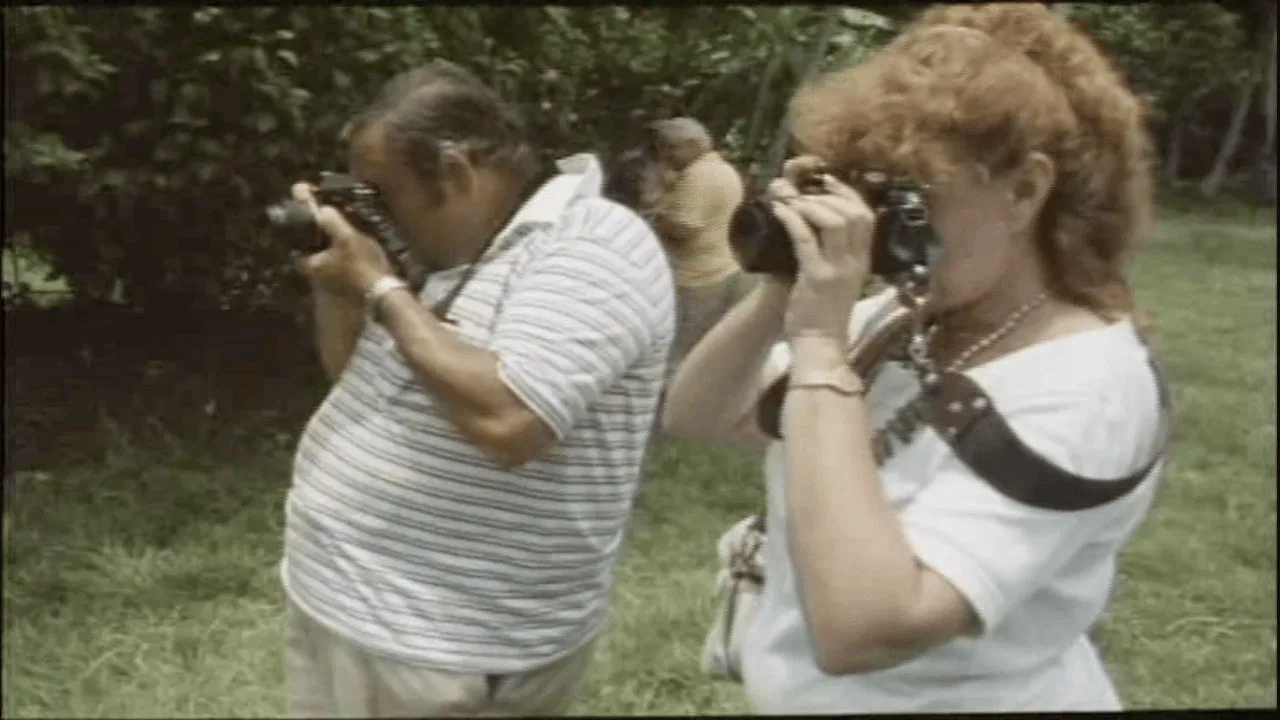Cannibal Tours backdrop