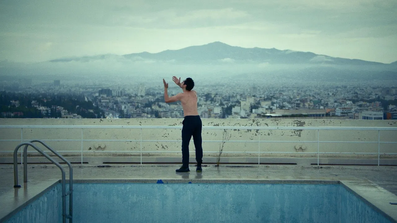 Birds (Or How to Be One) backdrop