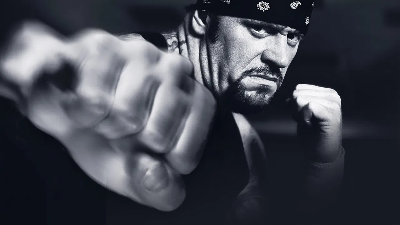 WWE Vengeance 2003 backdrop