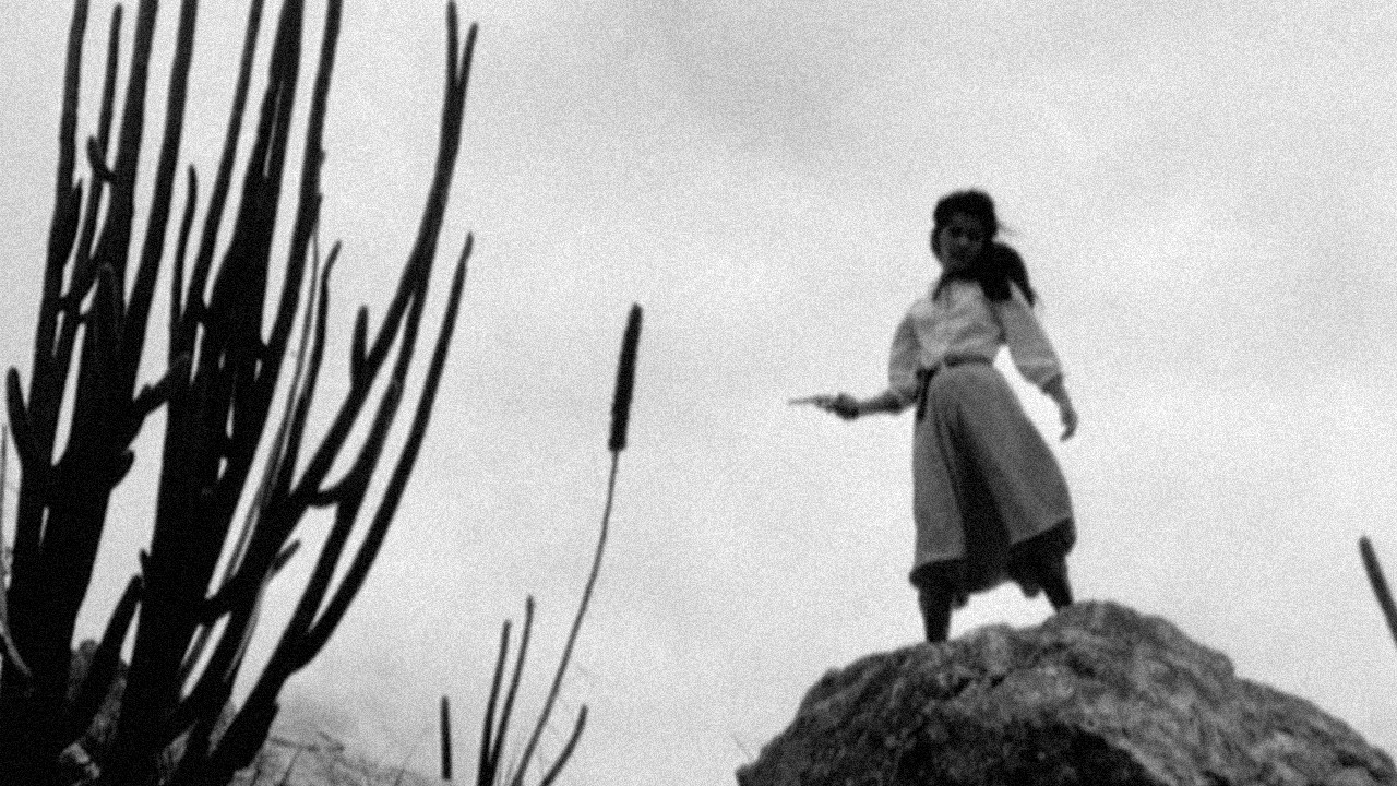 Red Mandacaru backdrop