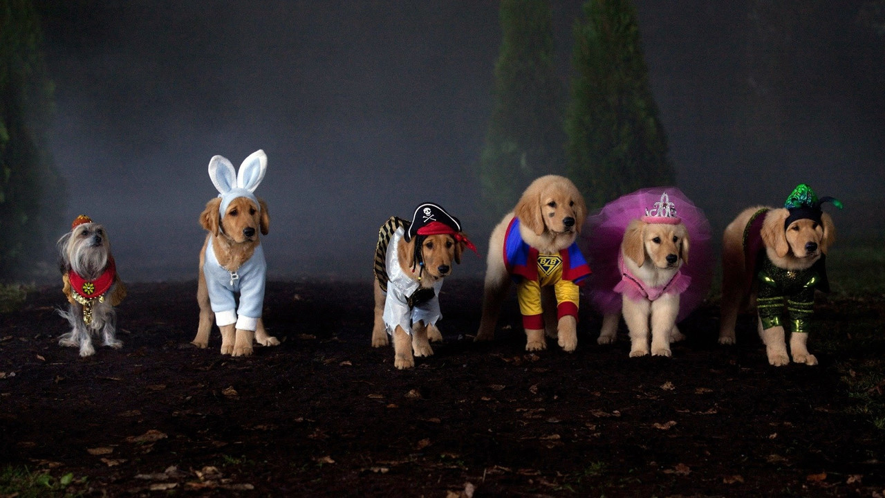 Spooky Buddies backdrop