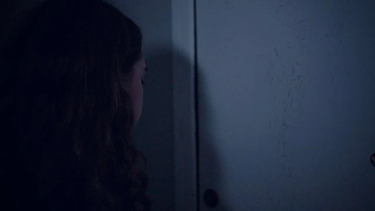 Folhas Secas de Outono backdrop