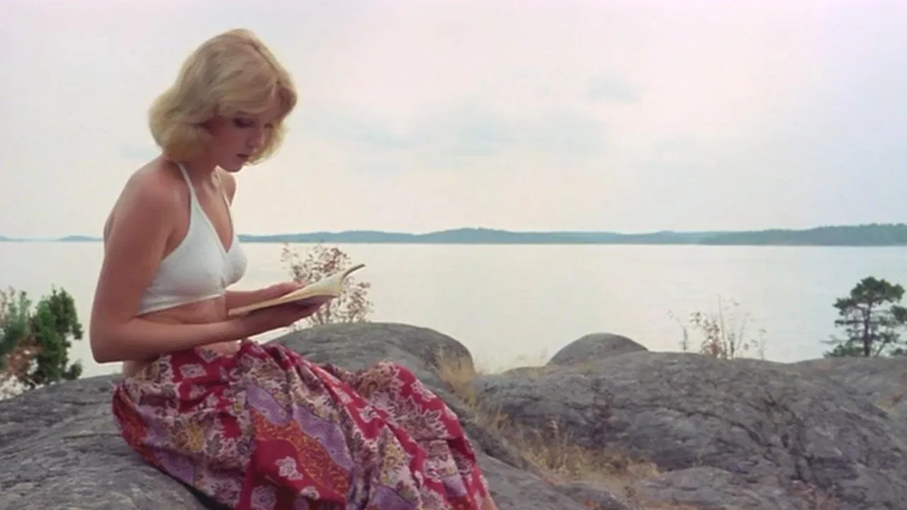 Laura's Toys backdrop