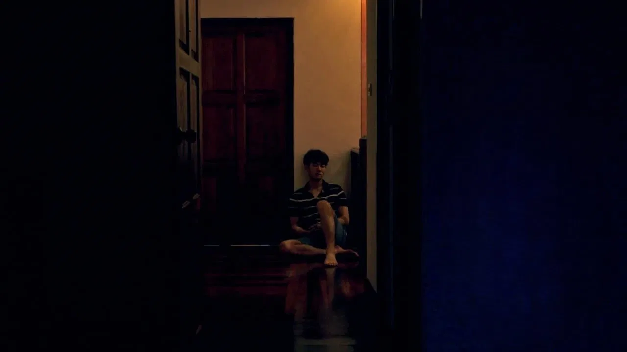 Tropical Night backdrop