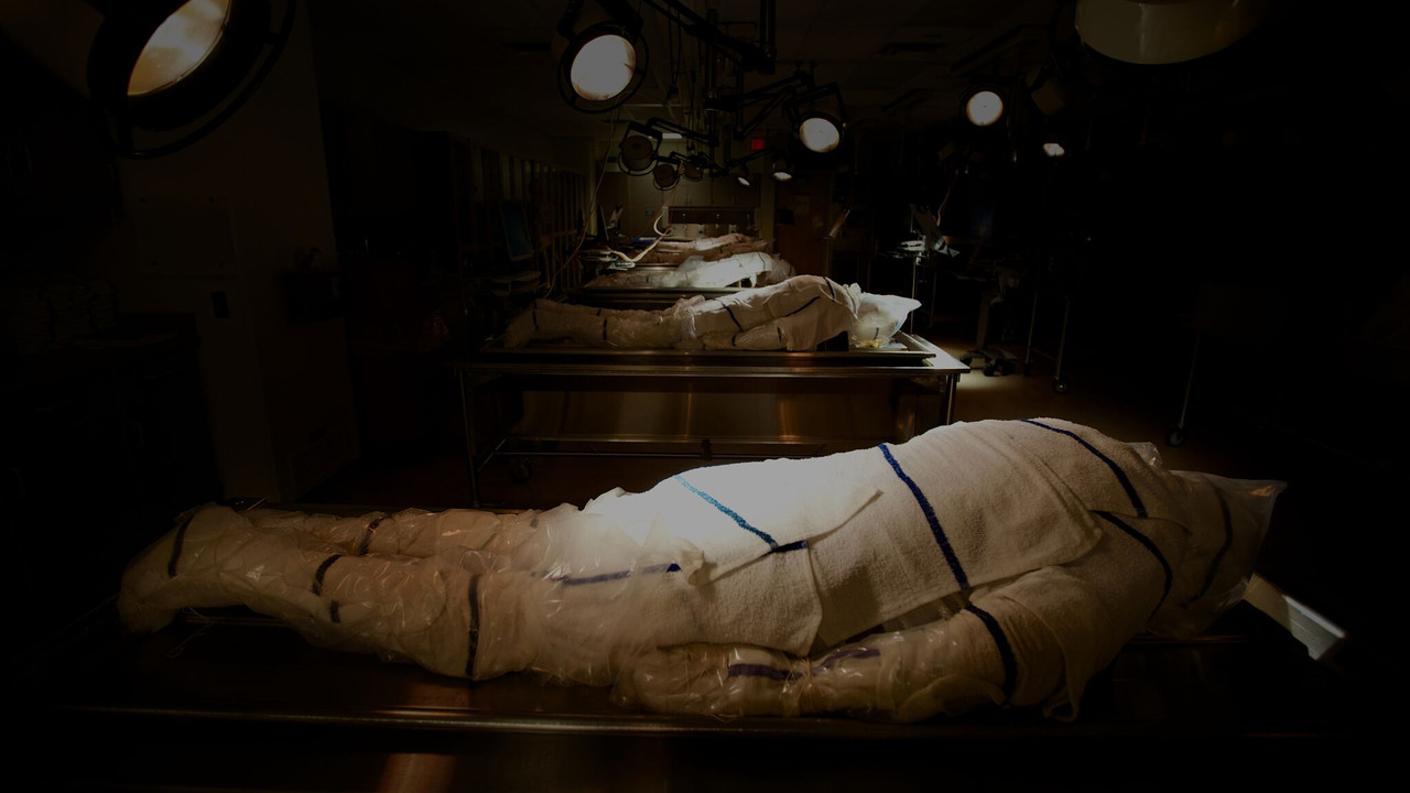 The First Patient backdrop