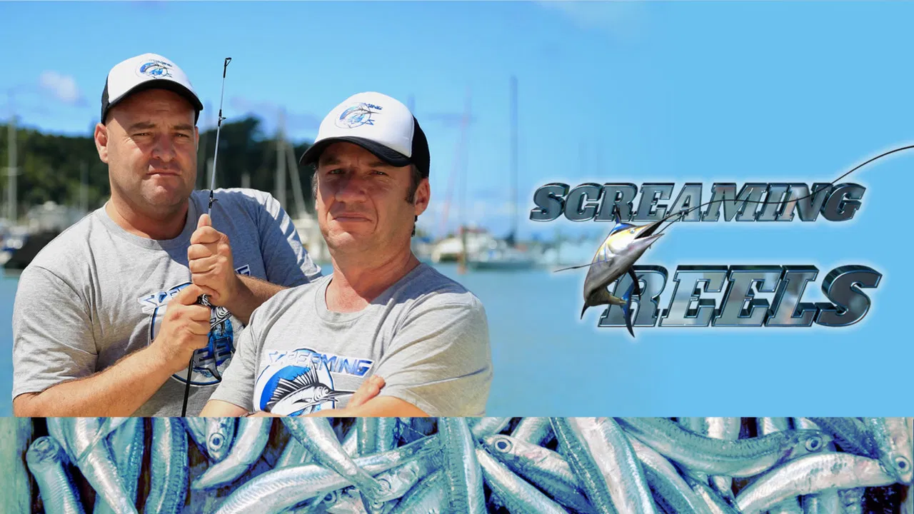 Screaming Reels backdrop