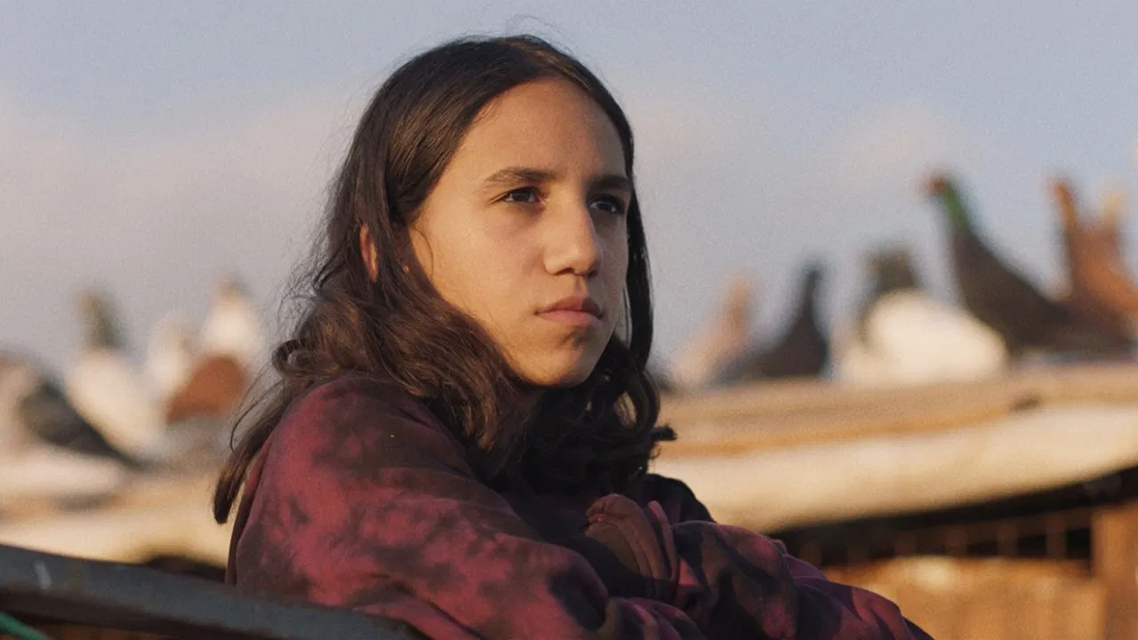 Palestine Islands backdrop