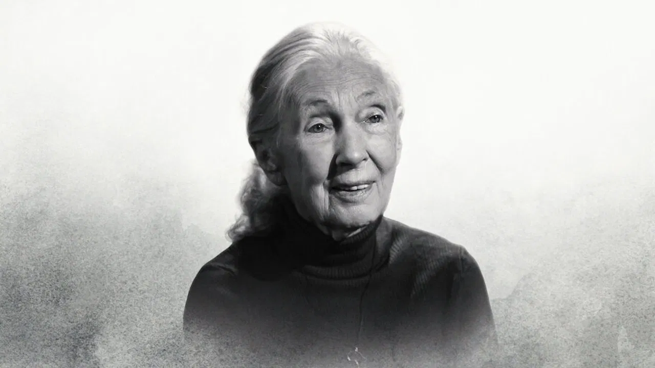 Famous Last Words: Dr. Jane Goodall backdrop
