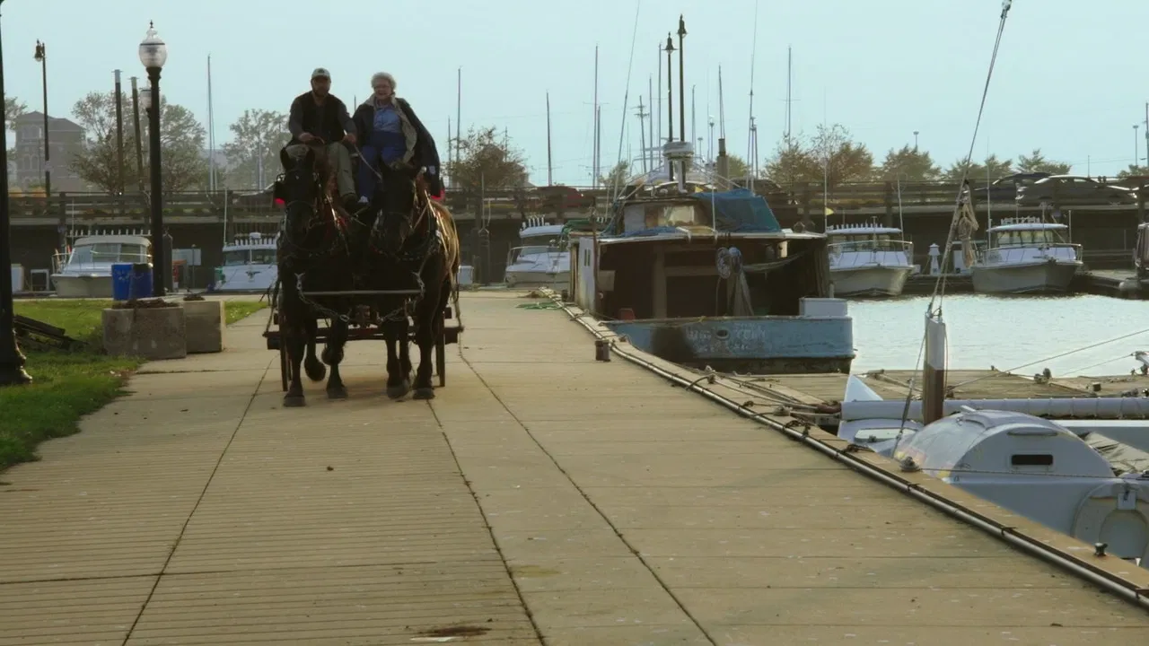 Before The Border backdrop