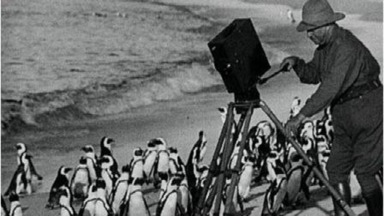 With Cherry Kearton in the Jungle backdrop