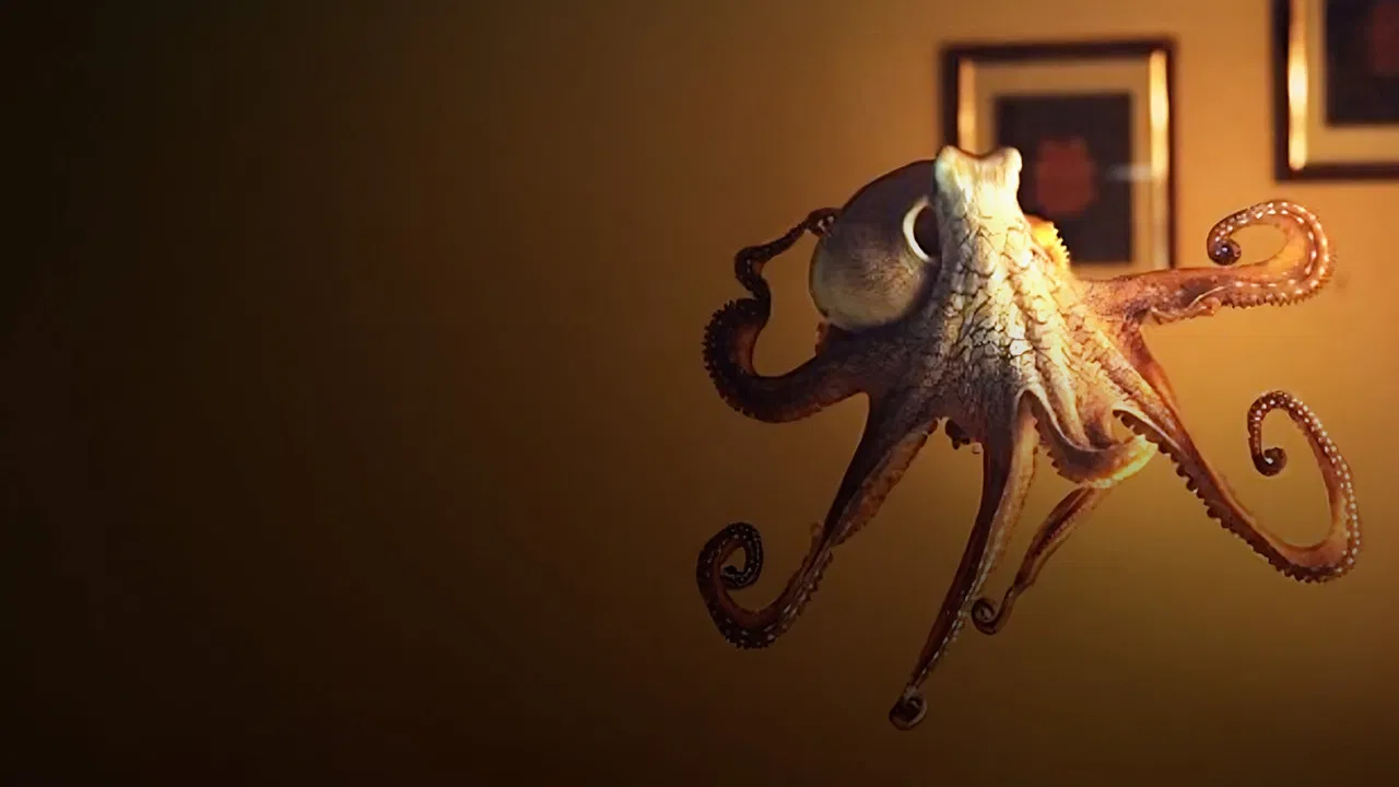 The Octopus in My House backdrop