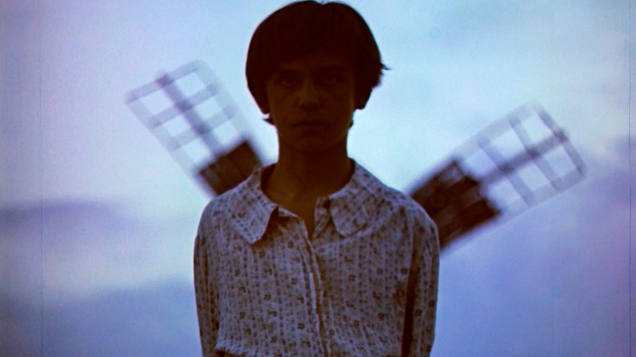 A Bird from the Blue Sky backdrop