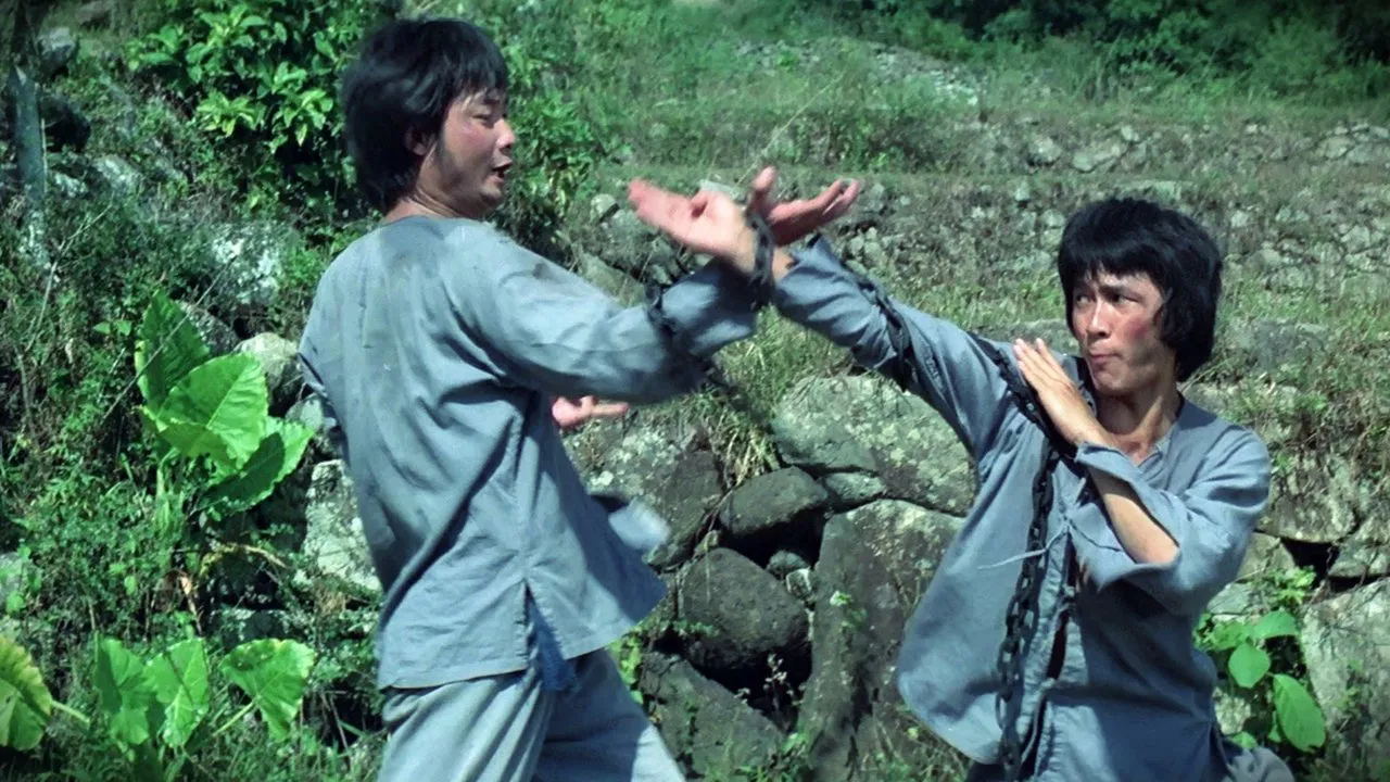 Monkey Kung Fu backdrop