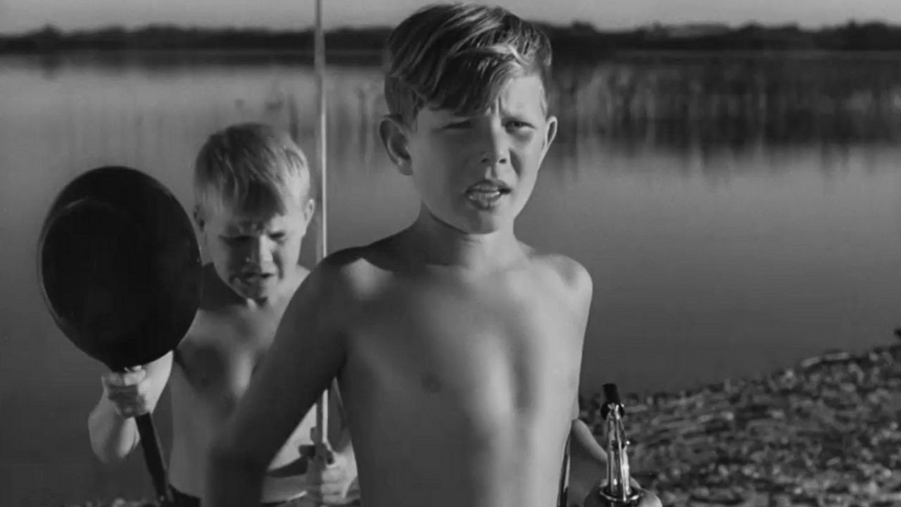 Blue Horizon backdrop