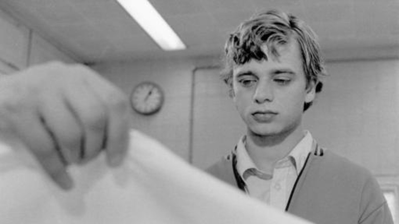 Butterflies backdrop