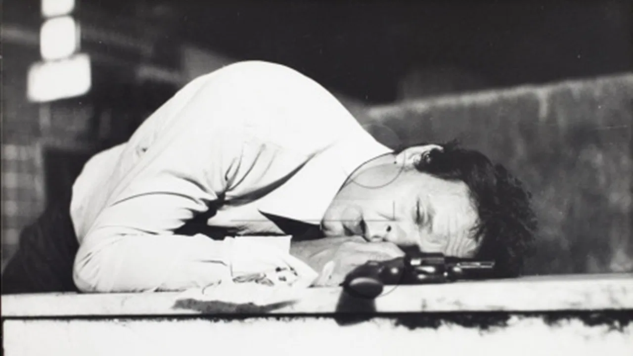 O Homem de Papel backdrop