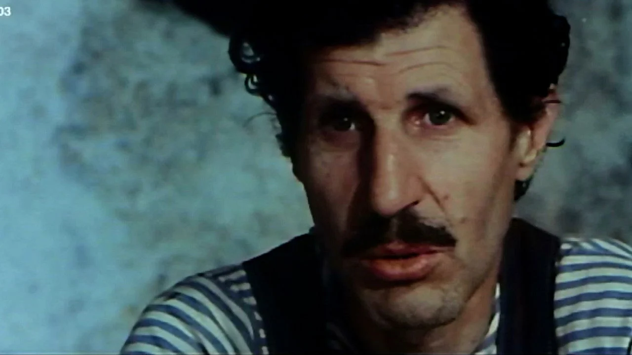 Two Sons of Trinity backdrop