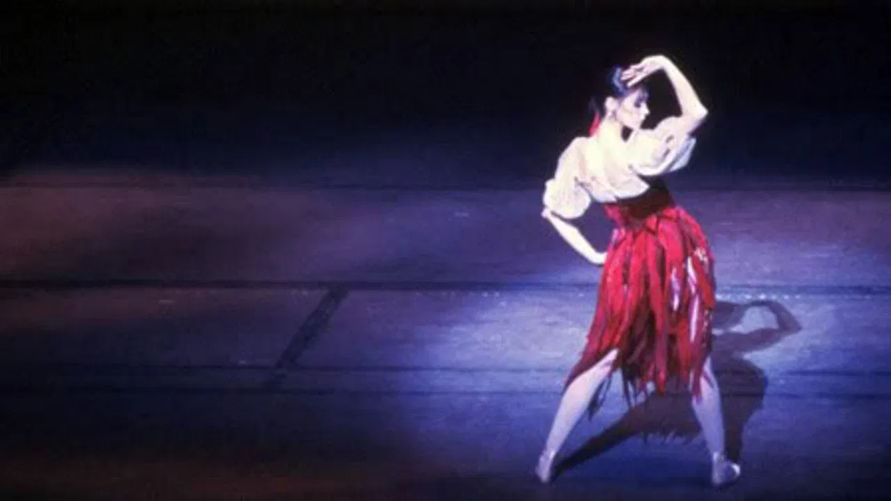 Suzanne Farrell: Elusive Muse backdrop