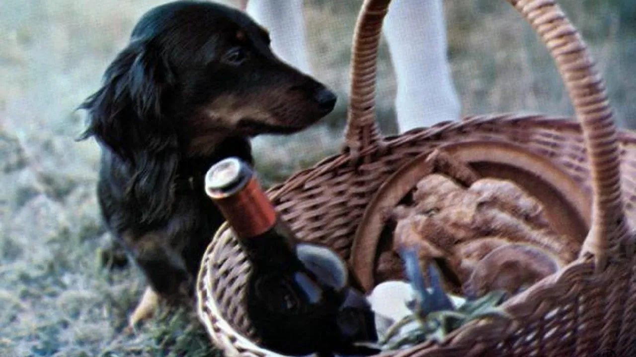 Da lacht Tirol backdrop