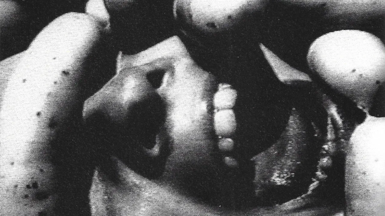 Das geheime Labyrinth des Horrors backdrop