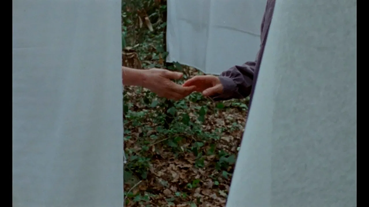 If I Could Bear Myself Like Trees Do backdrop