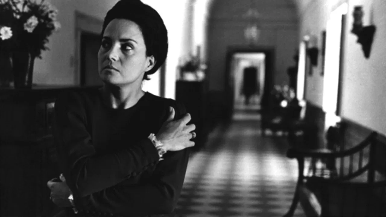 A Bee in the Rain backdrop