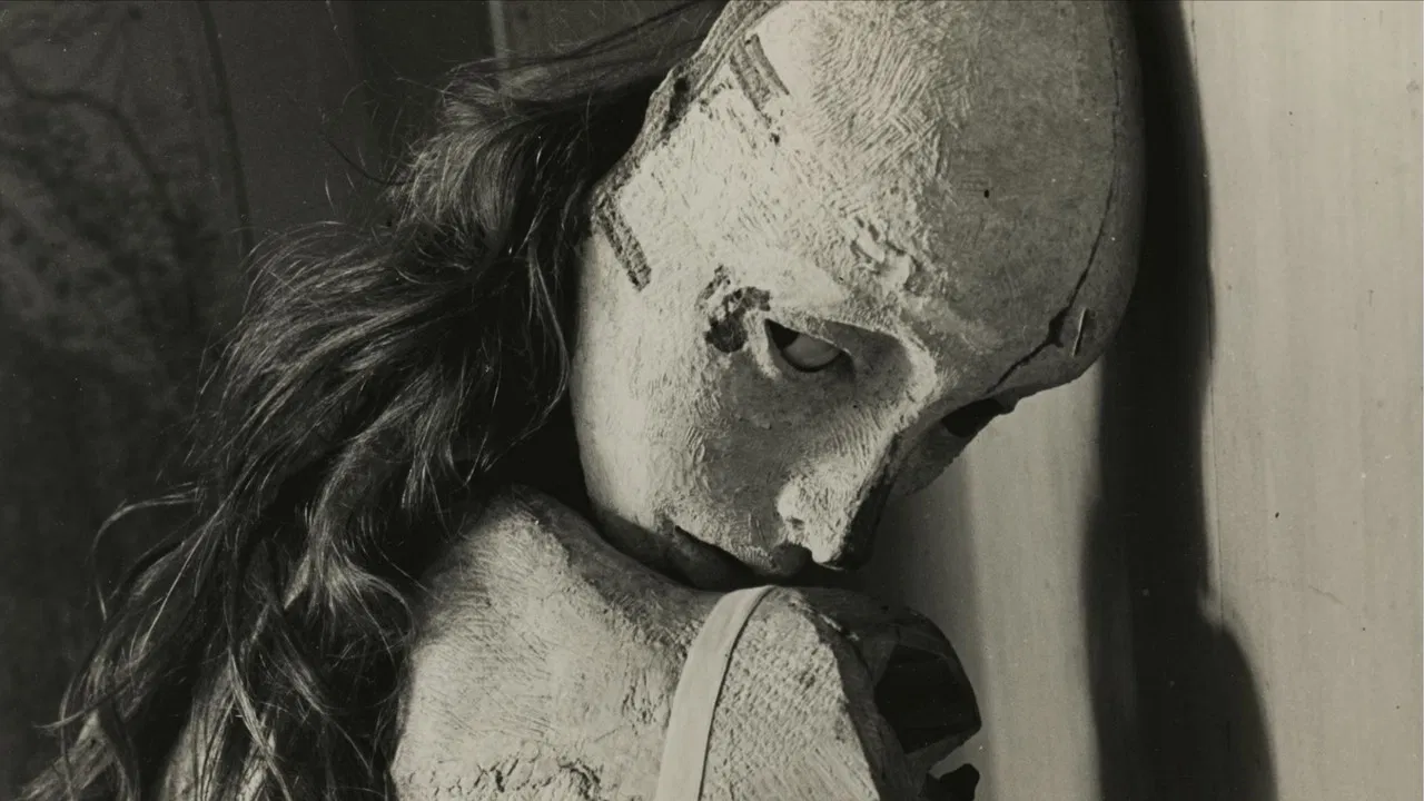 Film sur Hans Bellmer backdrop