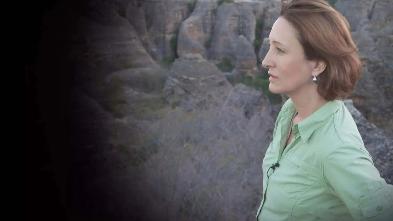 A Jornada da Vida backdrop