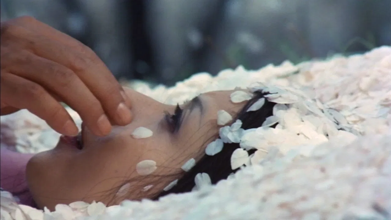 Under the Blossoming Cherry Trees backdrop