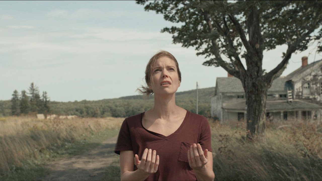 Shudderbugs backdrop