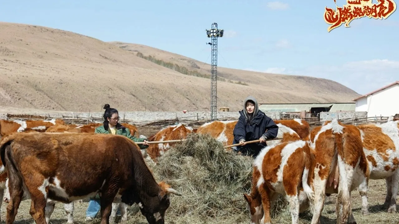 燃烧的月亮 backdrop