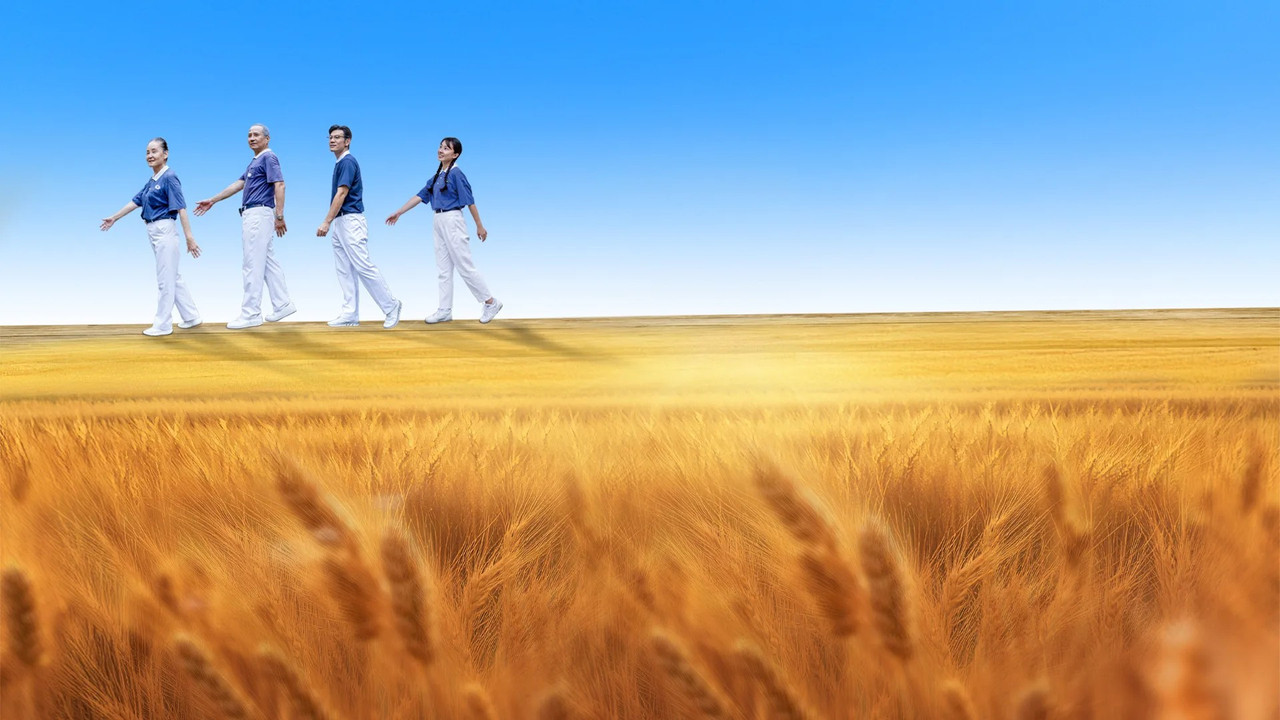 Life's Harvest backdrop